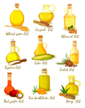 Set of isolated bottles or jars with different oil types. Wheat germ, linseed and almond, sesame and corn, cedar and red palm, sea buckthorn, hemp oily liquid in glassware container. Drink and beautyのイラスト素材