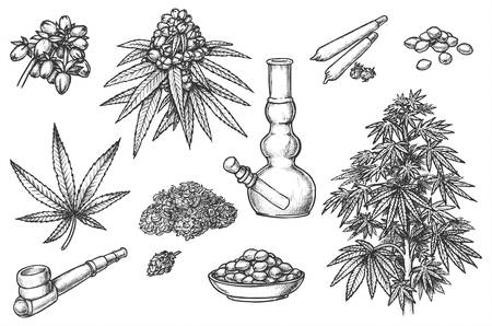 Set of sketches for marijuana items, hemp leaves and engraved seeds, cannabis bud. Smoking Pipe and bong, joint and jar, cigarette and tobacco. Sativa, indica marijuanna, medicine weed, legalize potのイラスト素材