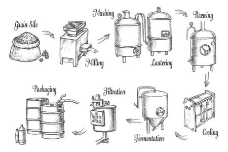 Beer brewery factory and brewing process infographics, vector sketch icons. Beer production line...