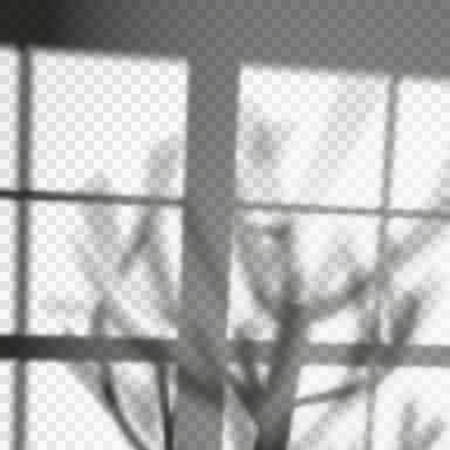 Tree shadow or plant branch overlay on wallのイラスト素材