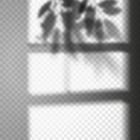 Leaf and door shadow on transparent background.のイラスト素材
