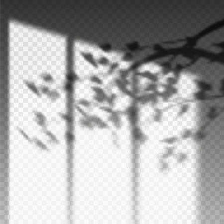 Plant branch or leaf shadow on transparent wallのイラスト素材