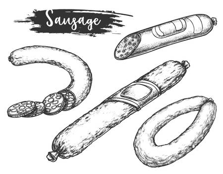 Sketches of polish sausage or kielbasa vectorのイラスト素材
