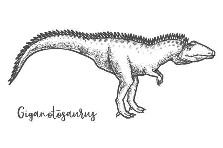 Giganotosaurus dino sketching. Sketch of dinosaur vectorのイラスト素材