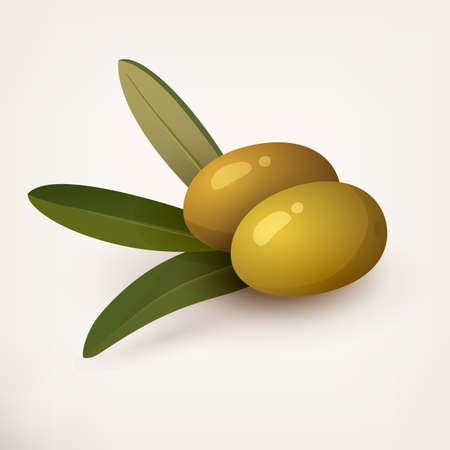 Green olive berries or fruits with leaves, vectorのイラスト素材