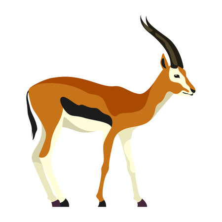 Vector image of flat gazelle. Animal clipartのイラスト素材
