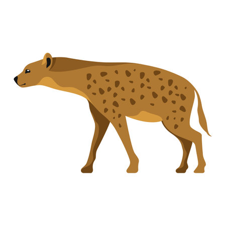 African hyena vector clipart. Hyaena image.のイラスト素材