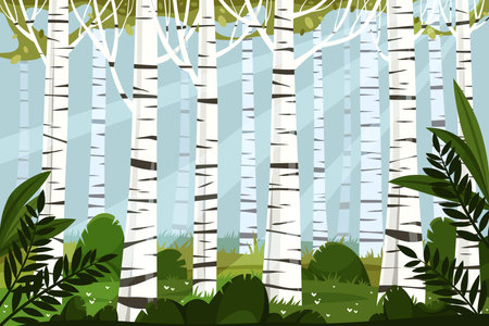 Vector birch forest background. Tall white barked wood and lush greenery. Landscape with spring tree. Woodland with timber. Panoramic flora at park. Ecology and eco environment. Nature trunk sign.のイラスト素材