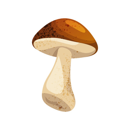 Boletus autumn mushroom icon. Vector fall harvest from forest or wood. Vegetarian food ingredient or rural culinary. Edible isolated element with stem and cap. Woodland snack or nutrition. Mycology.のイラスト素材
