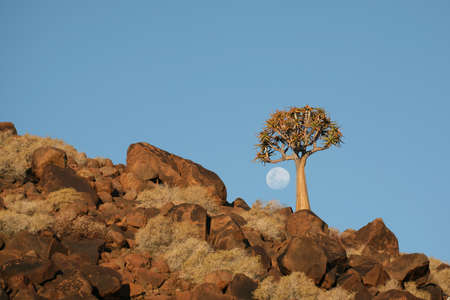 Namibia Moonriseの写真素材