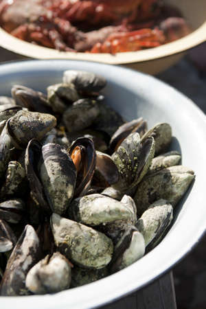 West Coast Mussels