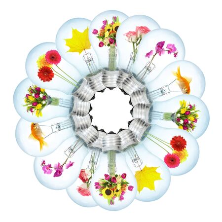 electric bulbs on a white background...の写真素材