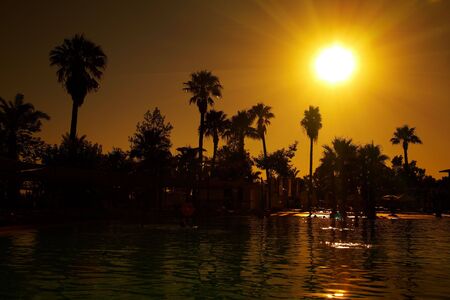 red sunset and palm ...の写真素材