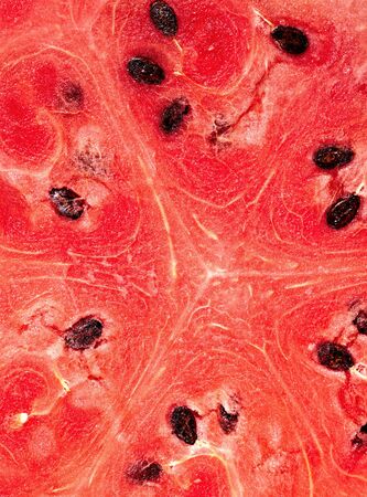 watermelon close-up background. So fresh!の写真素材