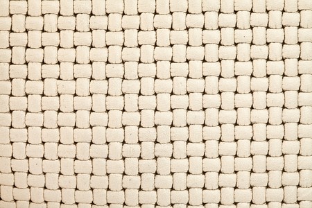 Light structure from a natural wattled skinの写真素材