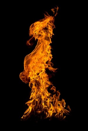 Fire isolated on black background.の写真素材
