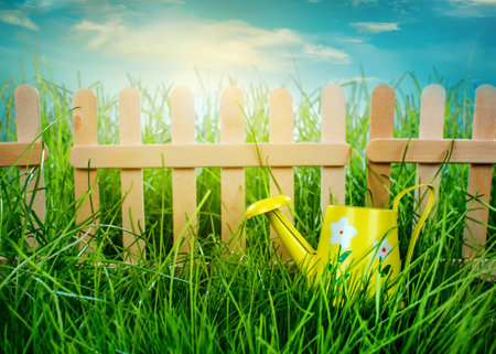 Watering can, Garden grass and wooden fence on blue sky background
