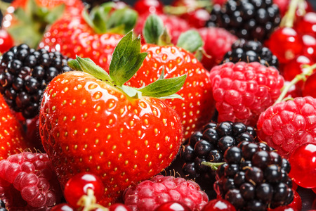 Variety of different berries backgroundの写真素材