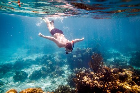 Snorkeler diving along the brain coral. Warning - authentic shooting underwater in challenging conditions. A little bit grain and maybe blurred.の写真素材