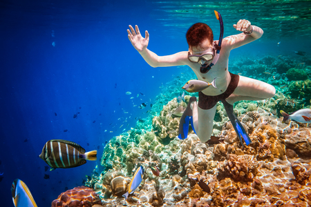 Snorkeler diving along the brain coral. Maldives Indian Ocean coral reef.の写真素材
