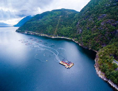 Farm salmon fishing in Norway aerialのeditorial素材