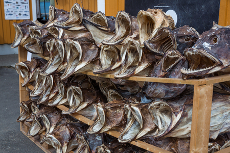 Fish shop Reine, Lofoten, Norway.の写真素材