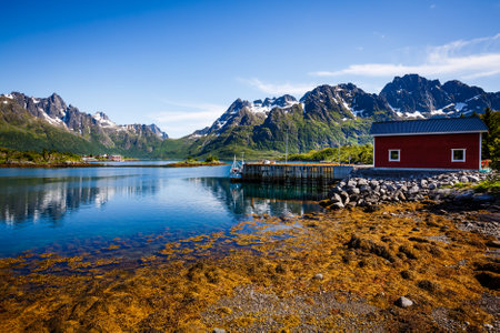 Lofoten islands is an archipelago in the county of Nordland, Norway. Is known for a distinctive scenery with dramatic mountains and peaks, open sea and sheltered bays, beaches and untouched lands.のeditorial素材