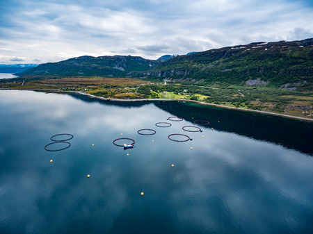 Farm salmon fishing in Norway aerial photography.の写真素材