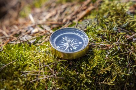 Traveller compass on the grass in the forestの写真素材