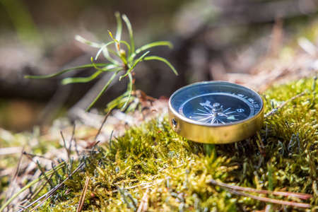 Traveller compass on the grass in the forestの写真素材