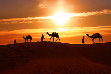 Cameleers, camel Drivers at sunset. Thar desert on sunset Jaisalmer, Rajasthan, India.の写真素材