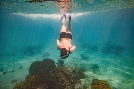 Snorkeling and skin diving on the coral reef edge in tropical water...の写真素材