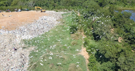 Bird's eye view of garbage mountain from drone in the industrial zone. Here is a flock of white birds, living in the garbage dump hill, The flock live in the forest near the garbage zoneの写真素材