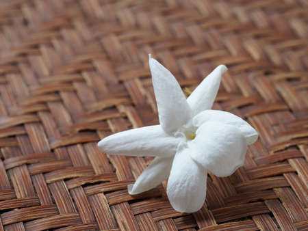Jasmine white flower on basketryの写真素材