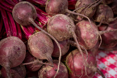 Local produce at a Farmers Market. Bunches of beets on a table ready for sale.の写真素材