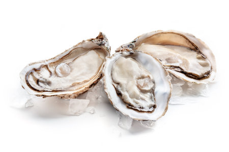 Fresh raw oysters on ice, on a white background, a seafood delicacy, gourmet food