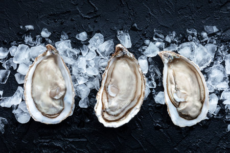 Fresh raw oysters on ice, overhead flat lay view on a black slate background. French delicacyの写真素材