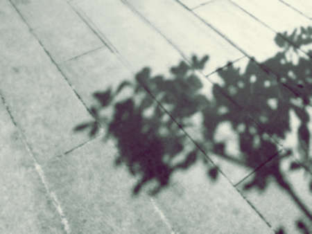 Blurred background of tree's shadow on cement floor
