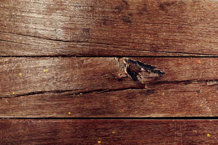 Brown wood texture. background old panels with gnarlの写真素材