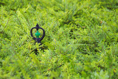 water sprinkler system in green grass gardenの写真素材
