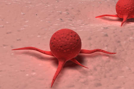 Virus