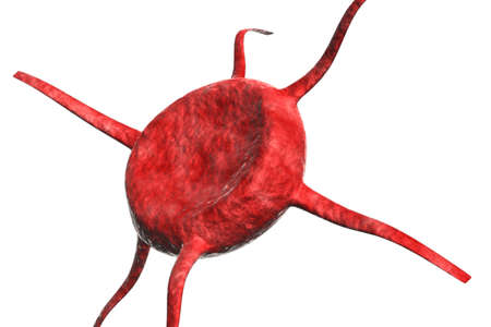 Blood Cell Thingy