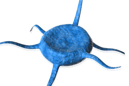 Blood Cell Thingy
