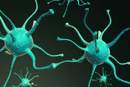 Neurons