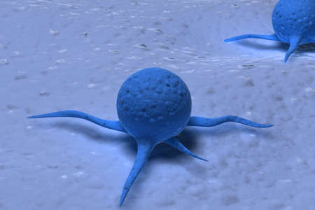 Virus