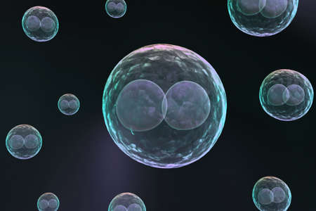 Biological cells