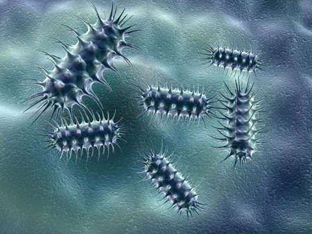group of bacteria