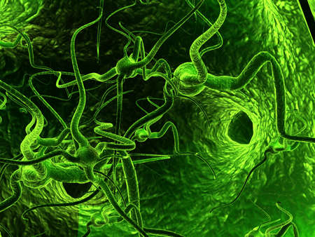 Neuron  Active nerve cell in human neural systemの写真素材