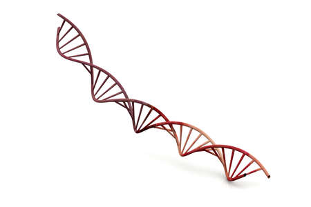 DNA on isolated backgroumd	の写真素材