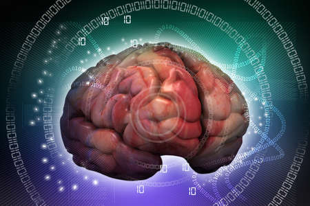 the concept of thinking  background with brain 		